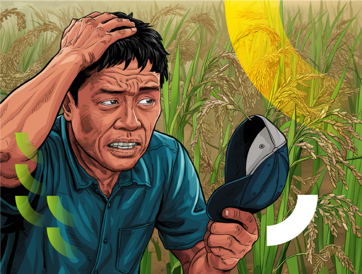 5 errores que no debes cometer para evitar la SOGATA en tu cultivo de arroz